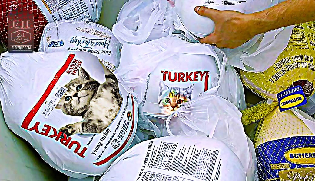 Los pavos congelados que venden en México son en realidad gatos: Profeco 1 Los pavos congelados que venden en México son en realidad gatos: Profeco 1