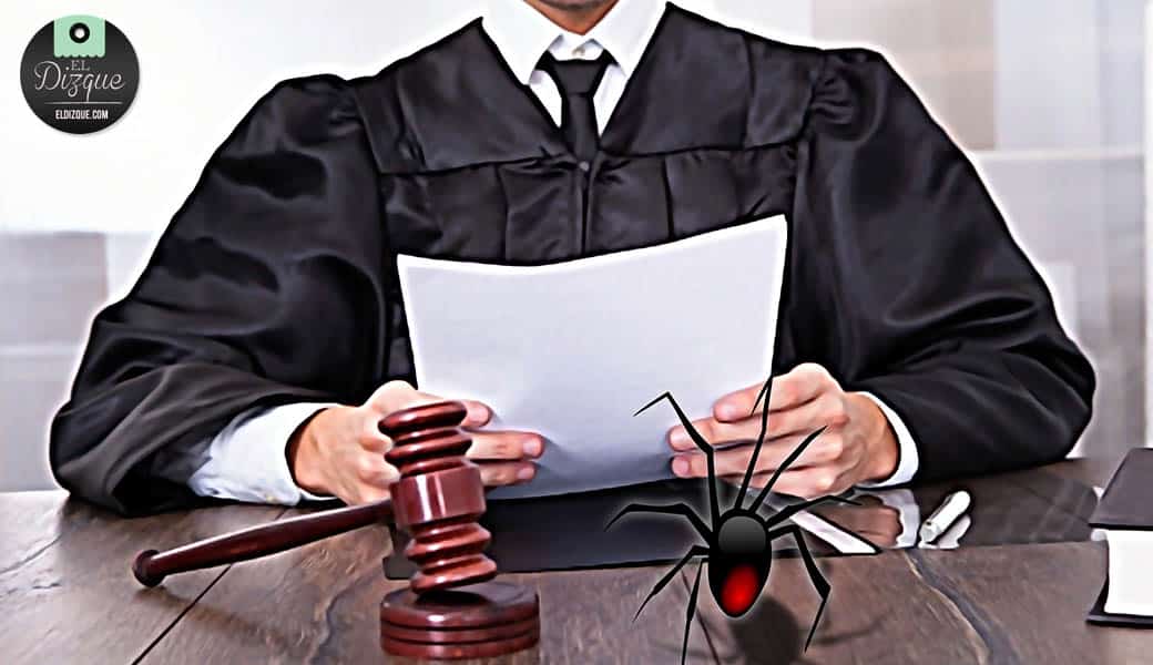 Araña presenta denuncia por invasión de propiedad 1 Araña presenta denuncia por invasión de propiedad 1