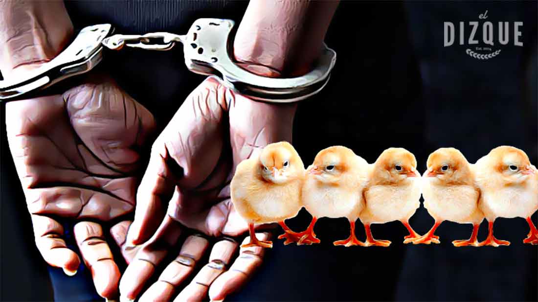 ÚLTIMA HORA: "La Tía" es arrestada por maltrato animal 1 Cinco pollitos tiene mi tía