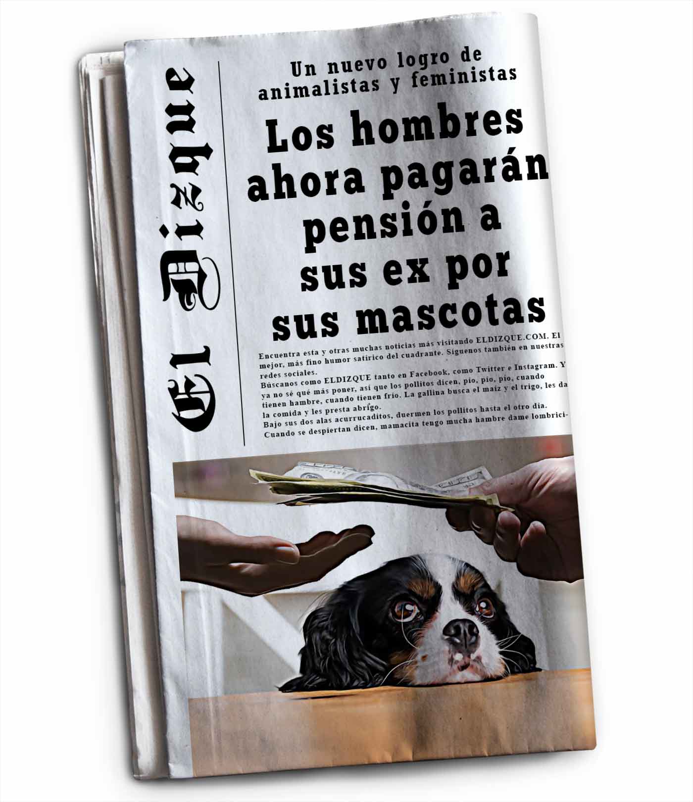 Los hombres ahora pagarán pensión a sus ex por sus mascotas 1 Pensión por mascotas